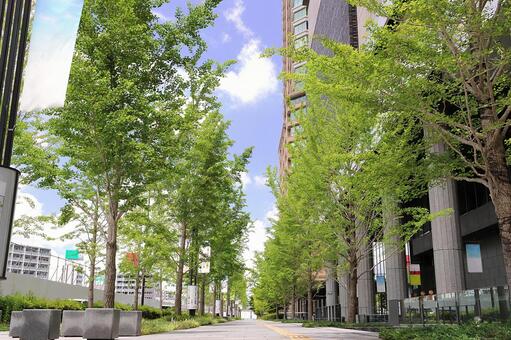 【東京都江東区】緑化事業の展開企業でのお仕事!造園施工管理技士・造園師